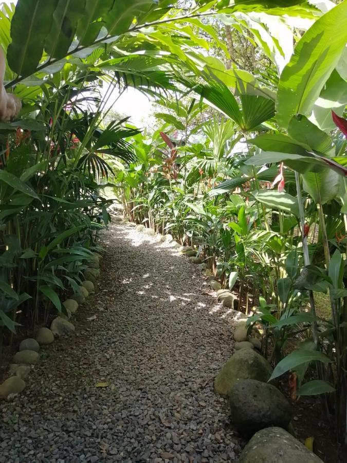 Arenal Rustic Lodge Alajuela Exterior photo